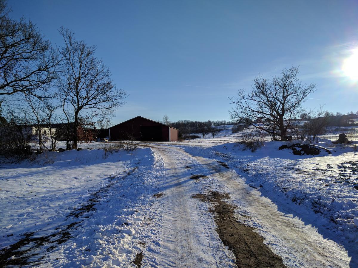 Olserods Hundcenter & Vandrarhem Degeberga Екстериор снимка