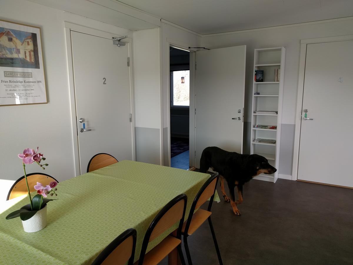 Olserods Hundcenter & Vandrarhem Degeberga Екстериор снимка